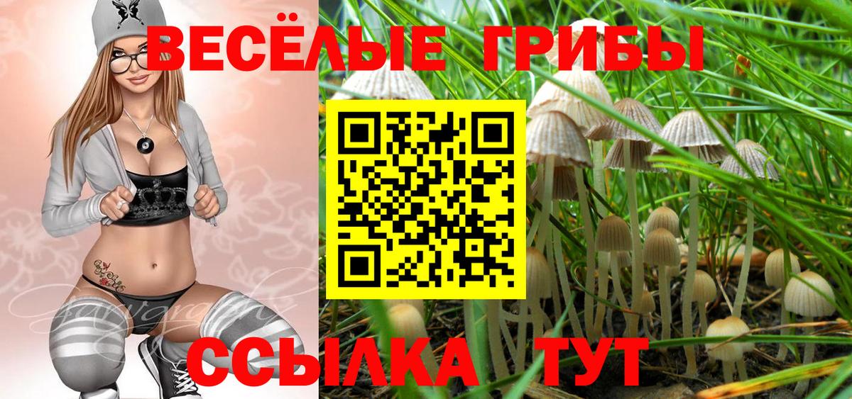 Псилоцибиновые грибы Cubensis Новочебоксарск